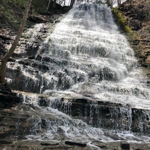 Meet your Posher, Tina